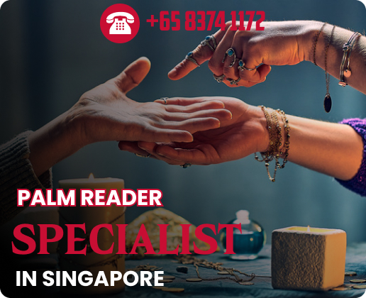 Palm Reader Specialist in Singapore: Pandit Eshwar